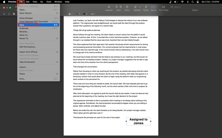 save the pdf