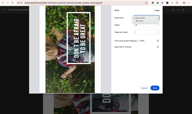choose print option in chrome