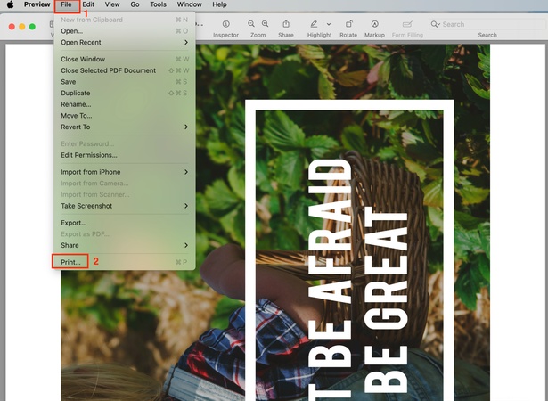 choose print option