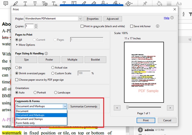 choose printing options