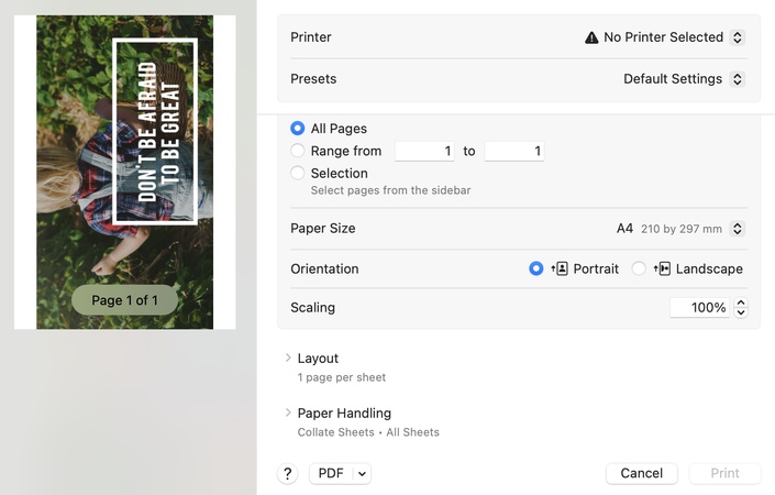 pdnob choose print and adjust settings