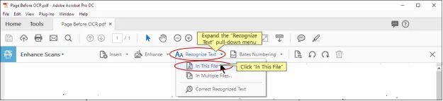 recognize text adobe
