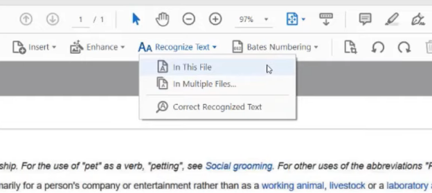 recognize text