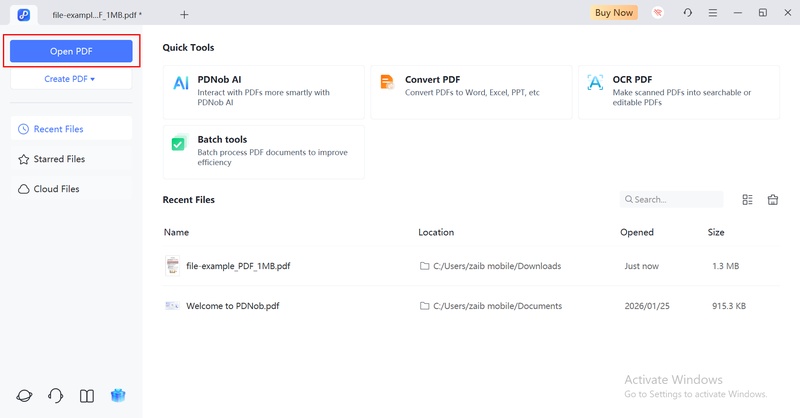 click open pdf to load
