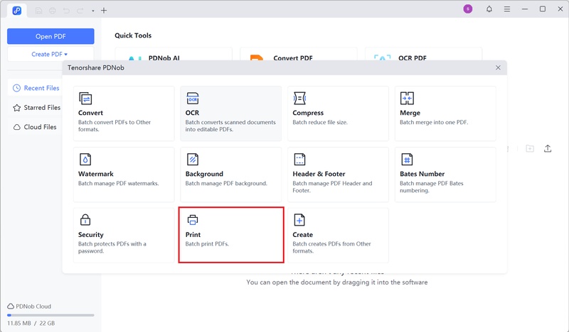 click print in pdnob