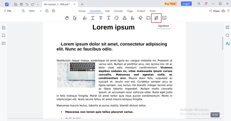 click the signature tool