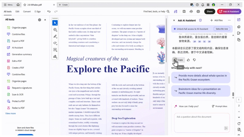copy the translated content