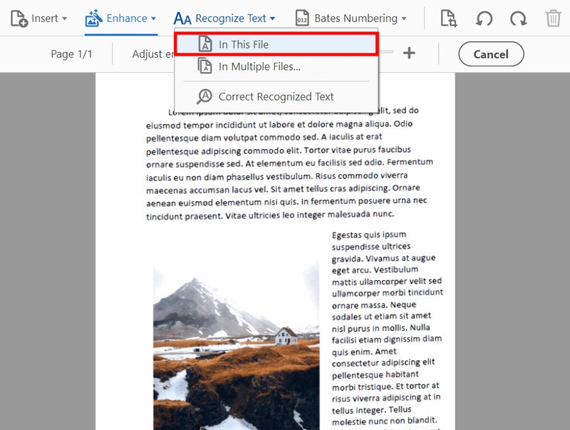 adobe correct recognized text in pdf