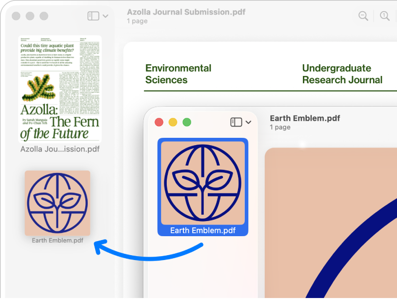 duplicate pdf preview