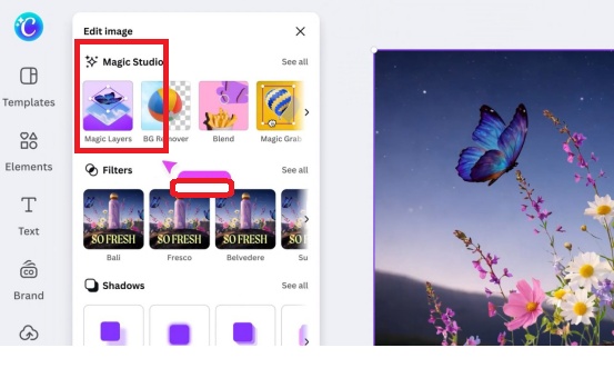 how to access layers in canva