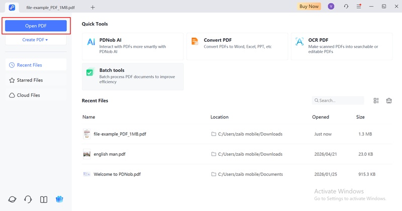 import the pdf file