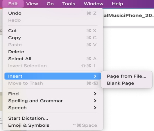 insert pdf in preview