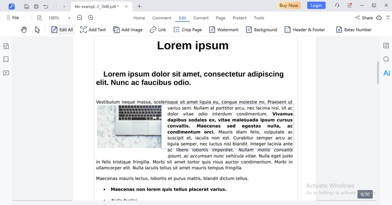 open the pdf document