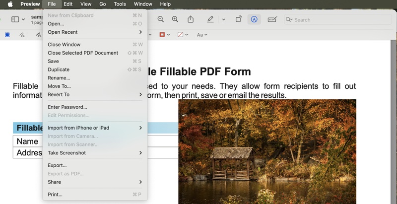 open your pdf in preview