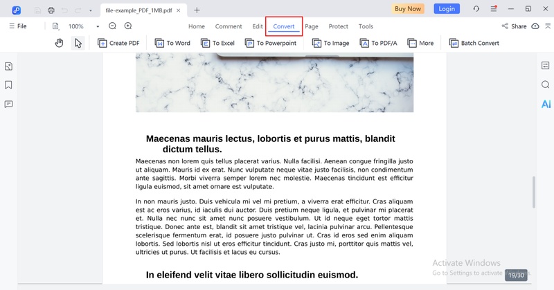 pdf conversion features