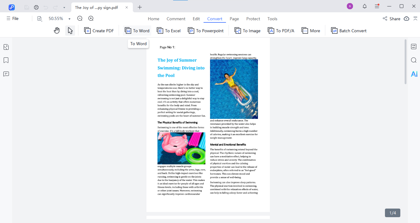 select convert pdf to word pdnob