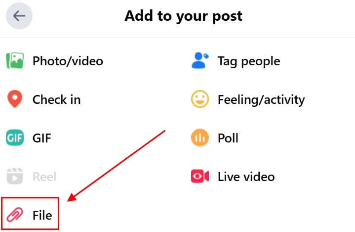 select file upload option
