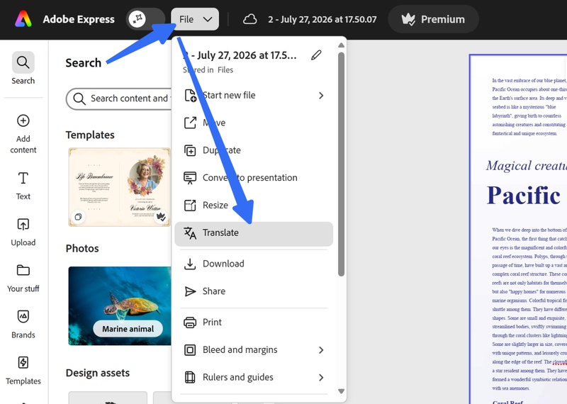 select translate this pdf