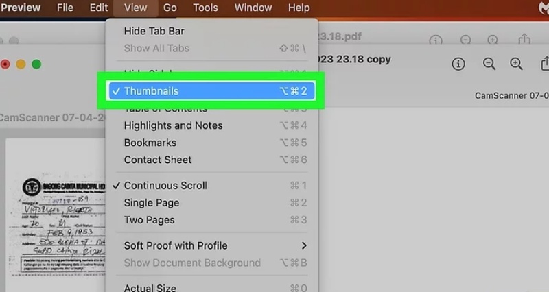 show the thumbnails sidebar