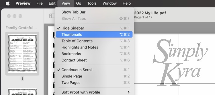 show thumbnails panel