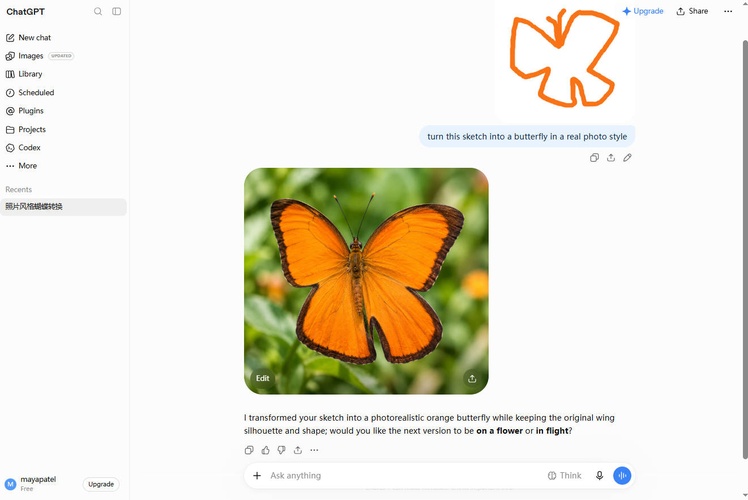 sketch to butterfly