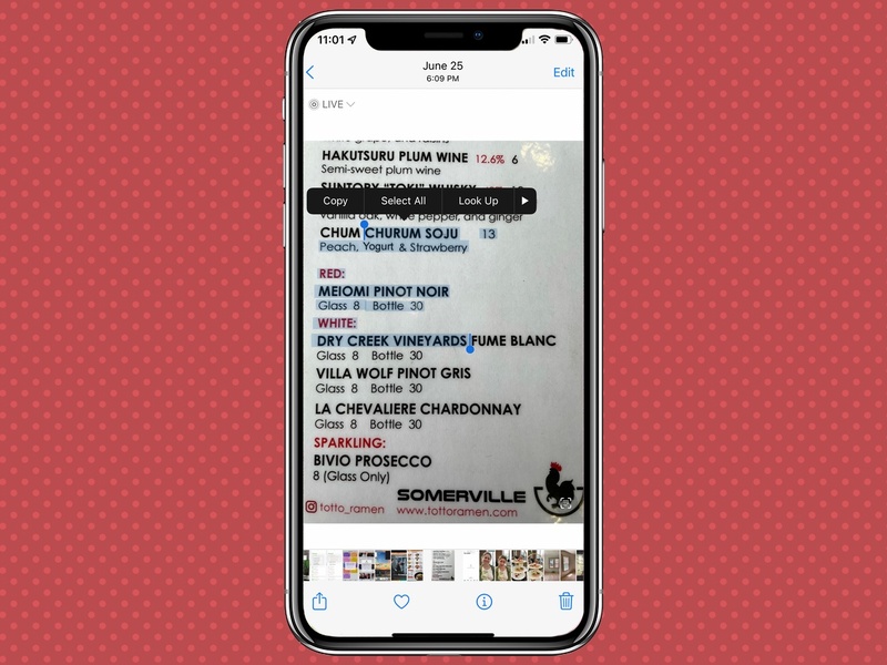 tap copy to save the selected text