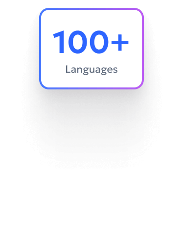 PDF translation interface